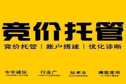 电商平台信息流广告的投放策略与效果评估案例